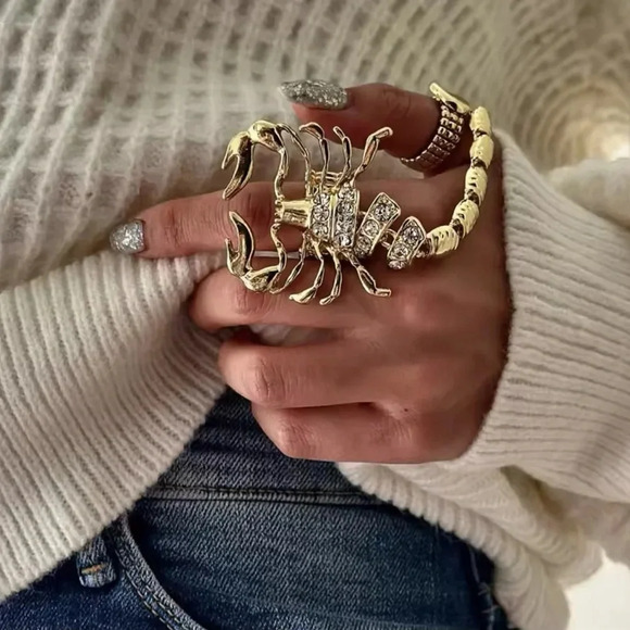 Scorpio Momento Mori Silver Plated Retro Ring - Picture 12 of 14